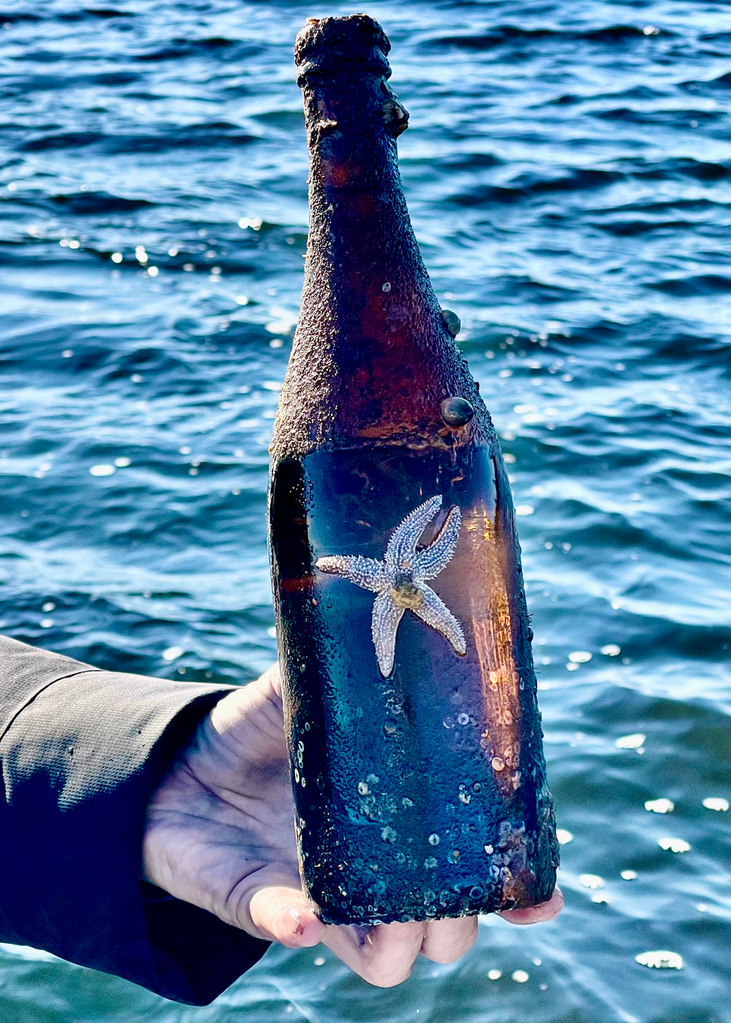 Sea-aged Oistre Cider